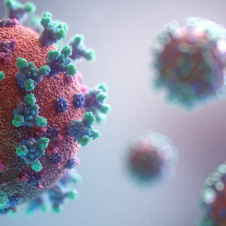 Covid19India.org Auxiliary/Testing Data - covid19india org gujarat