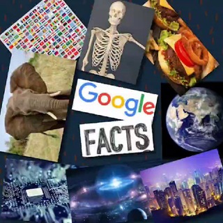 Google Facts - anuptaphobia symptoms