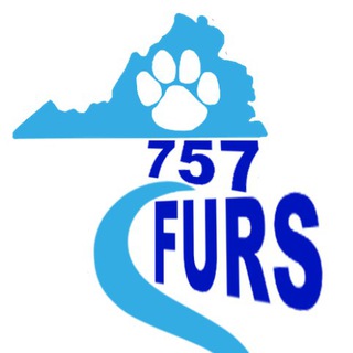 telegram channel 757 furries