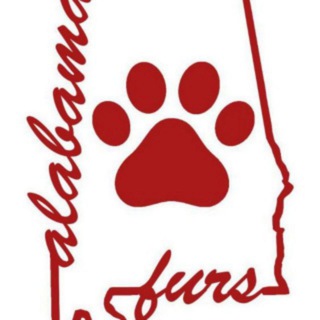 telegram channel alabama furries