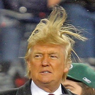 Trump's Haircut (fun, memes, gifs, pew)