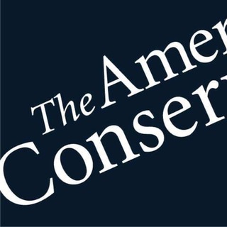 telegram channel amconmag