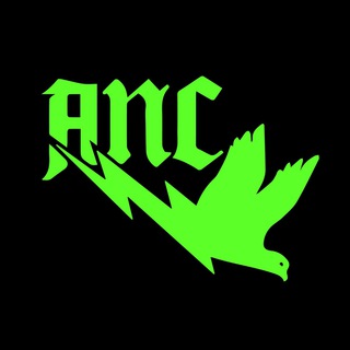 telegram channel ancreport