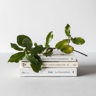 Твоя книга ?