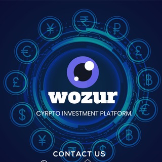 WOZUR INTERNATIONAL LIMITED - wozur international