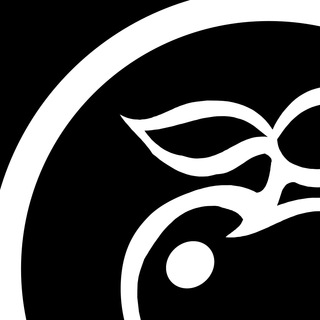 telegram channel apple realty tn