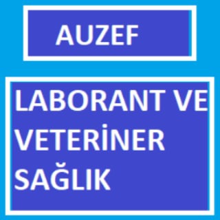Auzef Laborant Ve Veteriner Sağlık - auzef laborant ve veteriner sağlık