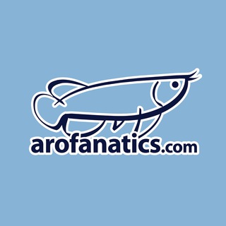 telegram channel arofanatics