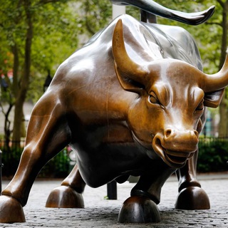 Zalmys VIP stock picks - vipstock