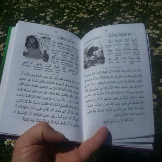 مبدأ القراءة