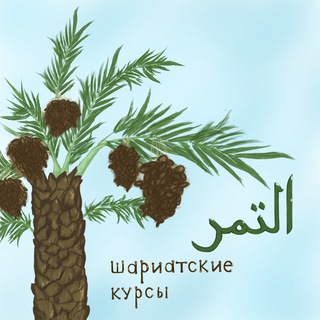 школа арабского языка التمر ат-тамp