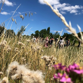 [SDM] Commune Imaginée de la Brantille (Garidech, 15mn de Toulouse) - telegram toulouse