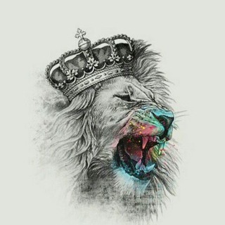 Maharaja Match Report - diamondexch9 com