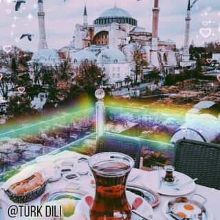 Türk dili
