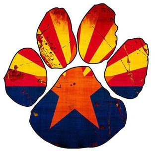 telegram channel azfurs