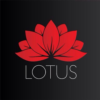 Lotus Agency - Работа за границей