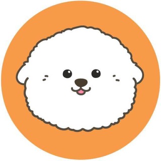telegram channel bichon meme