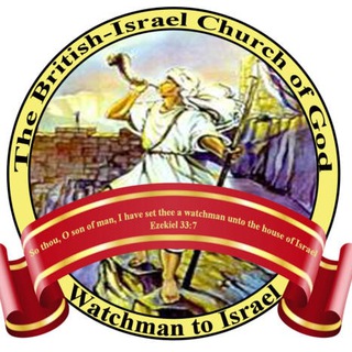 telegram channel bicog