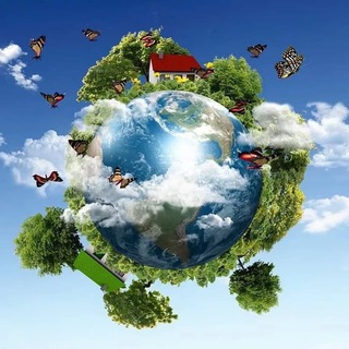 Окружающий мир?