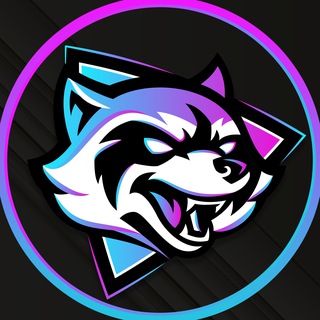 telegram channel biggest raccoons