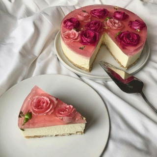telegram channel bilichik