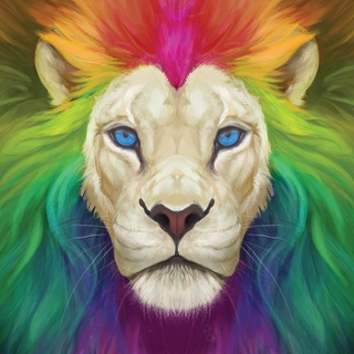 telegram channel blindcoyote