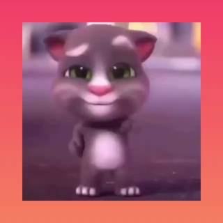 telegram channel boomcat