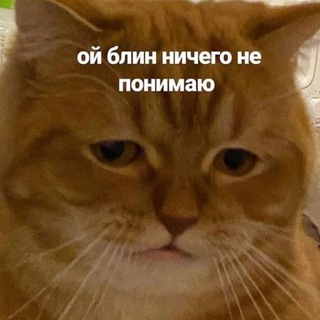 Здравствуй, бгуир, я тебя ненавижу - Telegram Channel