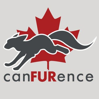telegram channel canfurence