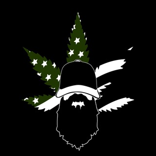 telegram channel cann con