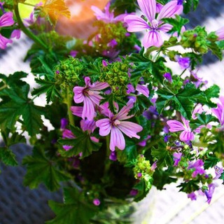 豆瓣知乎简书微信公众号?