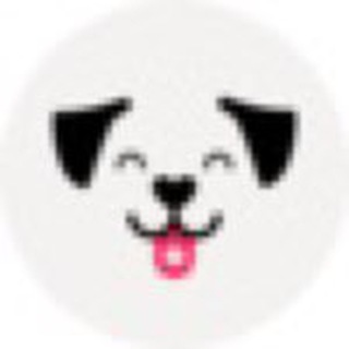 telegram channel cashdog