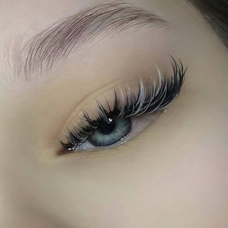 telegram channel catbrow