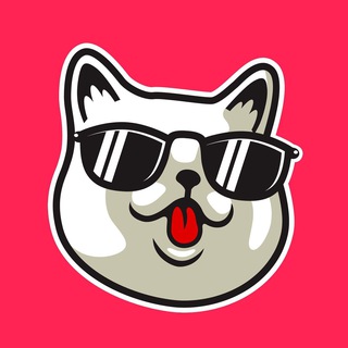 telegram channel catnip money