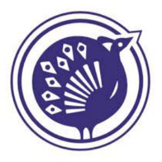 telegram channel chennaisilk