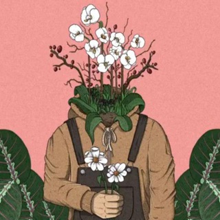 Chill. Lofi hip hop