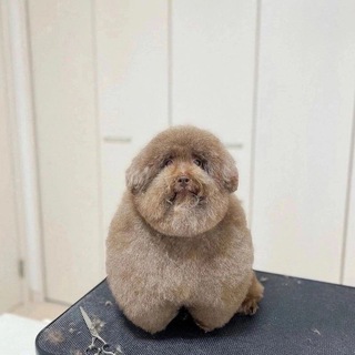 Союз молодежи БНТУ - Telegram Channel