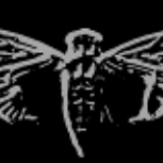 telegram channel cicada3301 org