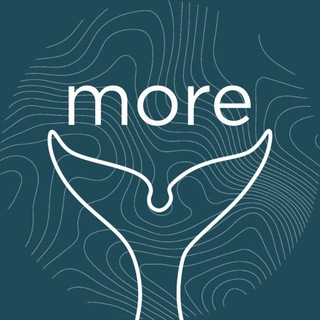 MORE