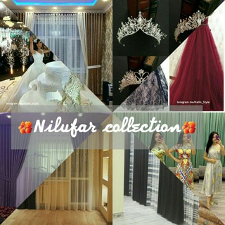 ?Nilufar_collection?
