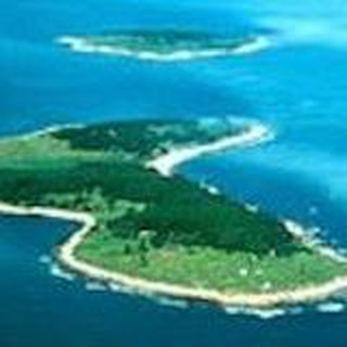 telegram channel cluborlov