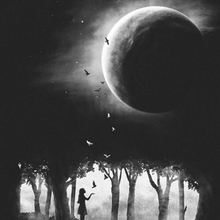 ??Shadowofthemoon?