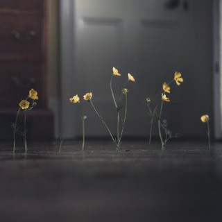 Sing the body electric