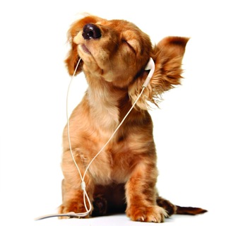 Meloman - we love different music