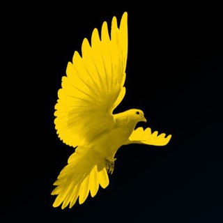 telegram channel coinanalyst