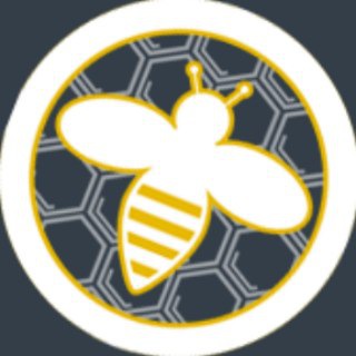 telegram channel coinsbee