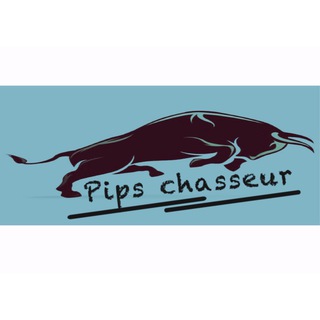 Pips Chasseur®️ - Telegram Channel