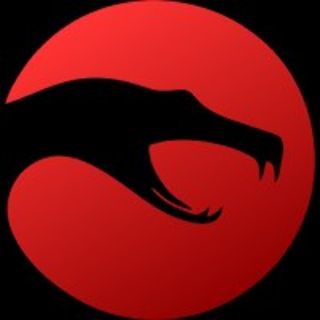 Python ecosystem - Telegram Channel