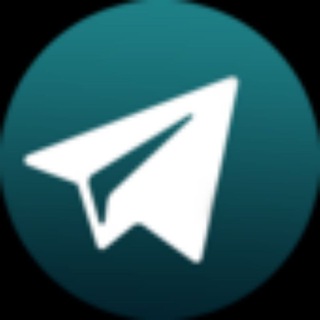 telegram channel cryptokami