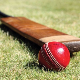 Cricket Quiz - Telegram Channel